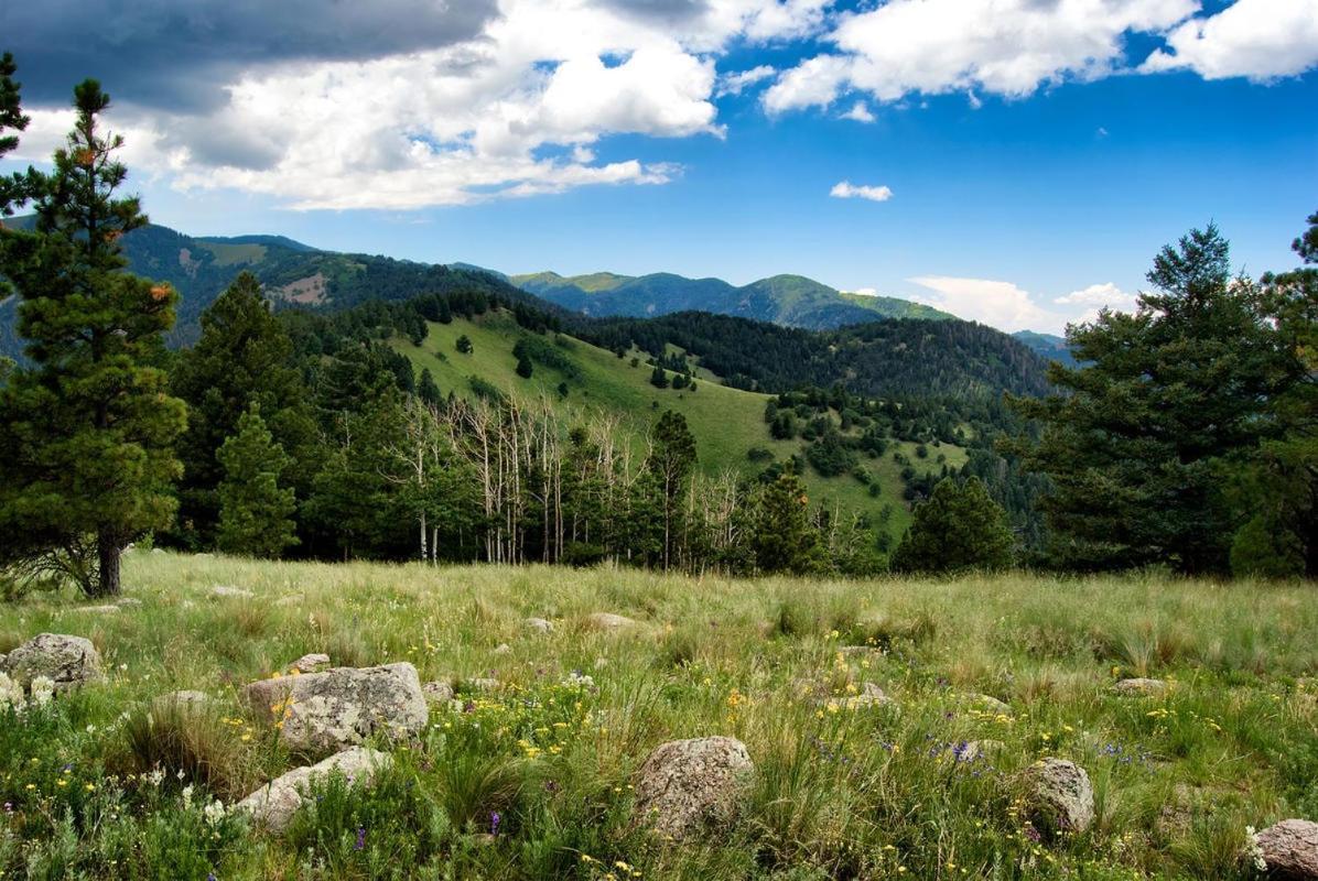 Windchaser, 1 Bedroom, Wood Burning Stove, Midtown, Sleeps 3 Ruidoso Exteriér fotografie